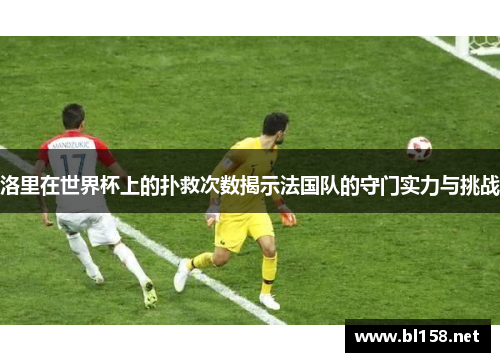 洛里在世界杯上的扑救次数揭示法国队的守门实力与挑战