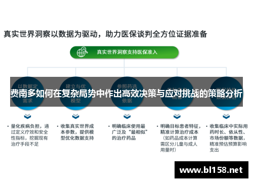 费南多如何在复杂局势中作出高效决策与应对挑战的策略分析